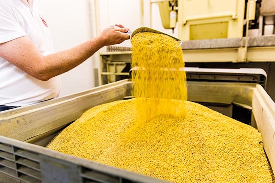 Des graines de moutardes principalement d'origine alsacienne au Domaine des Terres Rouges. © : Marcel Ehrhard