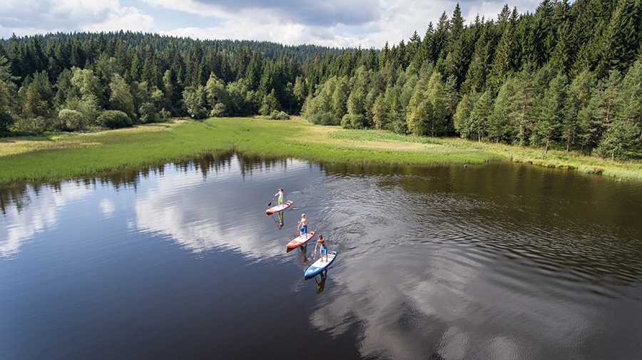 ZUT Magazine : Windgfallweiher