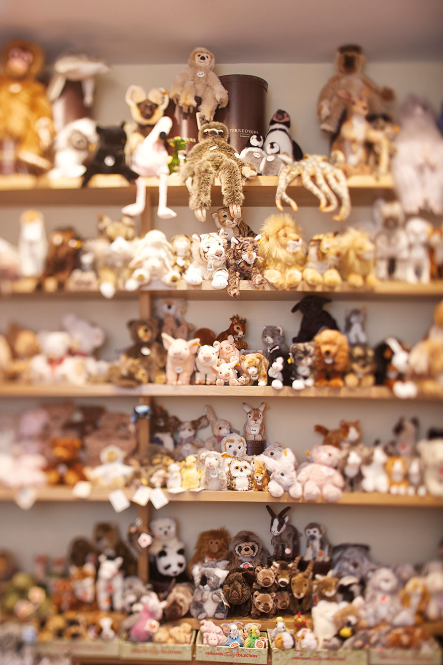 terre d'ours boutique de peluches strasbourg