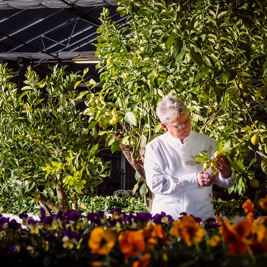 ZUT-HAGUENAU—Anne Ernwein, chef du Restaurant L’Agneau. © Christoph De Barry