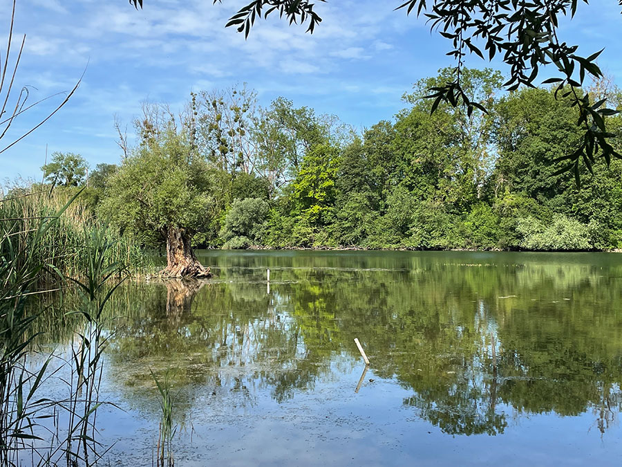 Rossmoerder-depuis-route